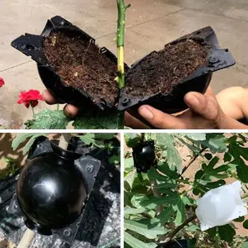 5 gabali augu sakņu bumbu potēšanas sakņu lodziņā vaislas lodziņā augu sakņu audzēšanas kastes dārza 5/8 cm diametrā stādīšanas līdzeklis